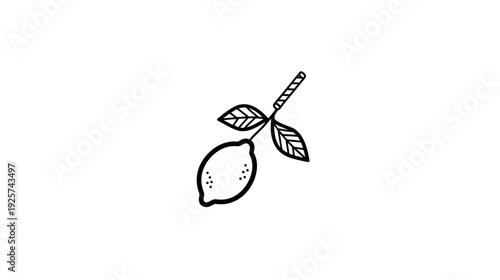 A monochrome illustration of a lemon with leaves and stem, stylized on a plain white background