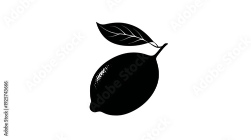 A black and white illustration of a lemon with a leaf. The lemon is attached to a stem