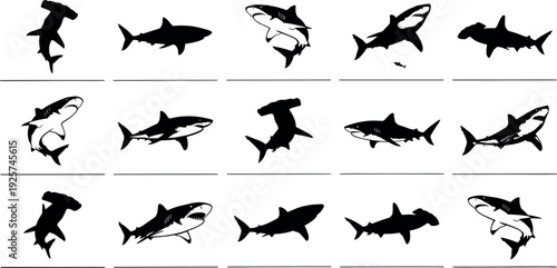 Black silhouette of majestic winged pegasus horse rearing isolated on white background for fantasy mythology logo sport mascot and heraldic emblem design