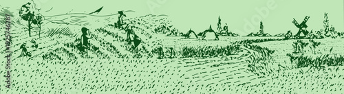 paddy field with trees and grass illustration vector art