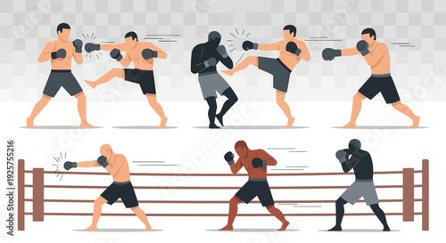 Vector illustration set of martial arts fighters in various combat poses and a boxing ring, depicting different fighting styles and actions.