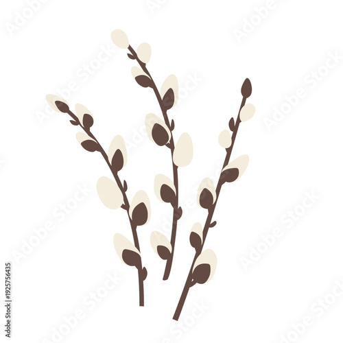 easter pussy willow branches as a symbol of spring renewal and tradition, natural seasonal decoration and Palm Sunday concept -vector illustration