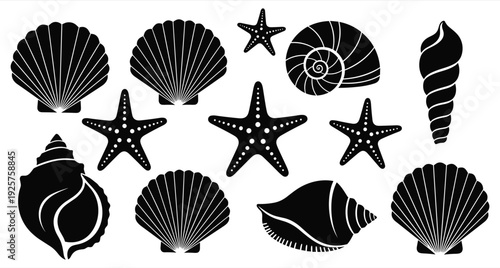 Sea Shells and Starfish Black Silhouette Vector Illustration