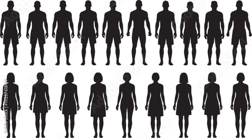 Collection of male and female silhouettes arranged in two rows, highlighting diverse human body shapes, postures, and proportions for anatomy, design, fashion, and ergonomic studies