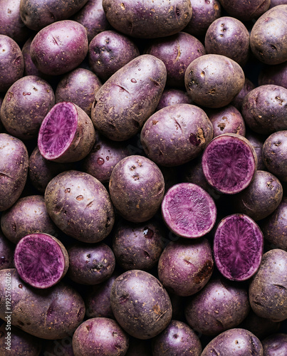 Purple potatoes background. Agriculture and healthy food concept