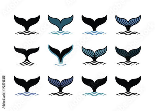 A collection of various whale tail designs on a white background
