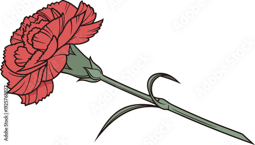 Single red carnation flower with green stem and leaves on white background single flower