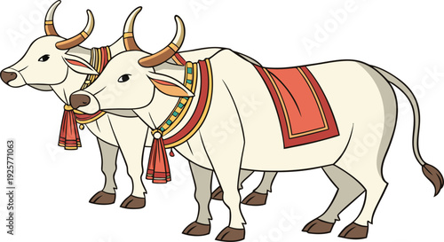Thai ceremonial oxen decorated with colorful fabric and adornments bulls white cream