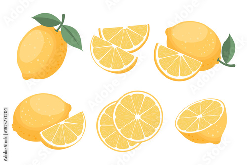 Fresh yellow lemon fruits collection with slices and leaves.Tropical fruit set illustration.
