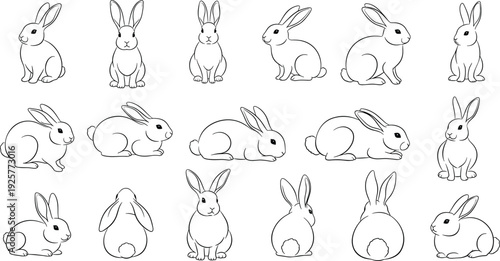 Set of continuous line drawing outline vector illustrations of cute fluffy rabbits in various playful and sitting poses.
