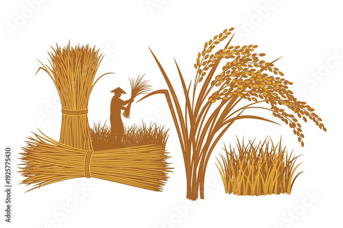 Farmer harvesting rice illustration in warm tones