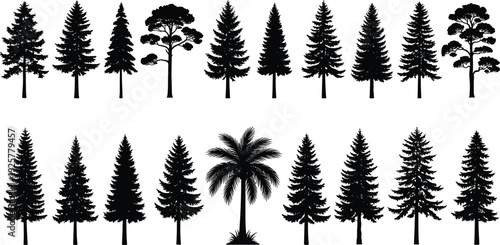 Collection of various tree silhouettes featuring pine spruce fir and palm trees isolated on white background for forest landscape design and tropical environment
