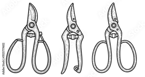 Vintage gardening shears set: detailed hand-drawn illustrations of pruning tools