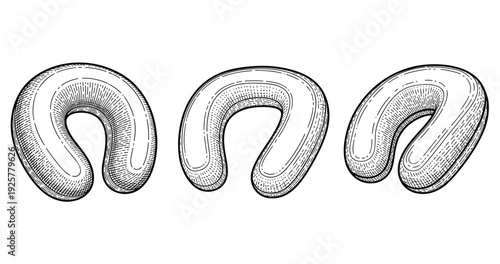 Detailed set of three hand-drawn horseshoe-shaped pastry illustrations