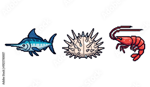 Colorful marine life: swordfish, pufferfish, and shrimp illustrations