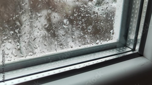 raindrops on the window