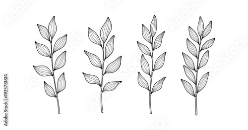 Minimalist botanical line art of four leaf stems on white background