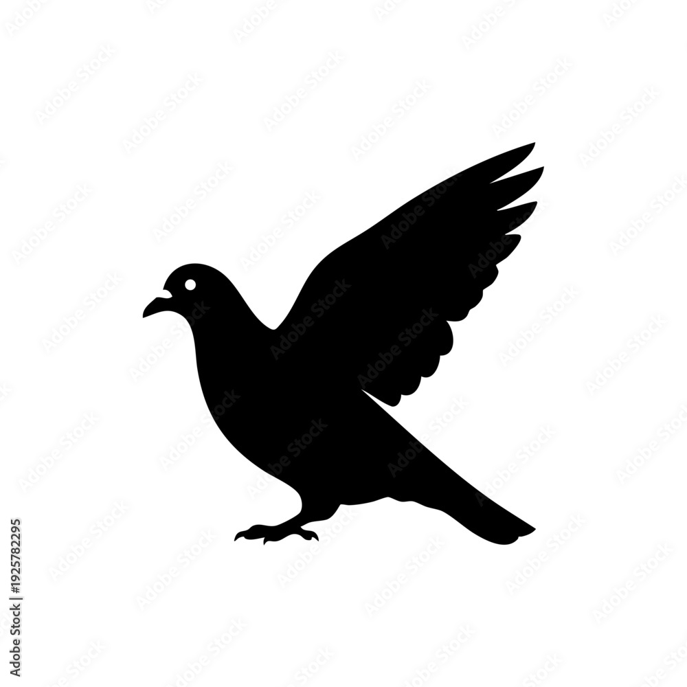 Obraz premium dove on white background