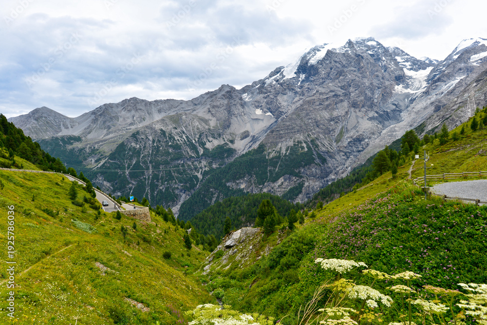 Obraz premium Blick von der Franzenshöhe am Stilfser Joch auf den Ortler in Südtirol
