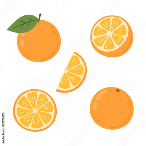 Set of oranges on white background
