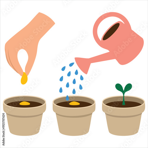 Stages of Planting Seed Hand Drawn Illustration of Gardening Watering Agriculture Process