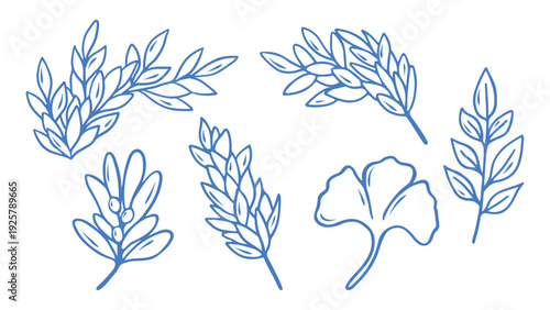 Vintage botanical branch and leaf set with laurel, ginkgo, olive sprigs. Classic blue line art vector flat illustration for elegant wedding design, organic branding, nature themed decor