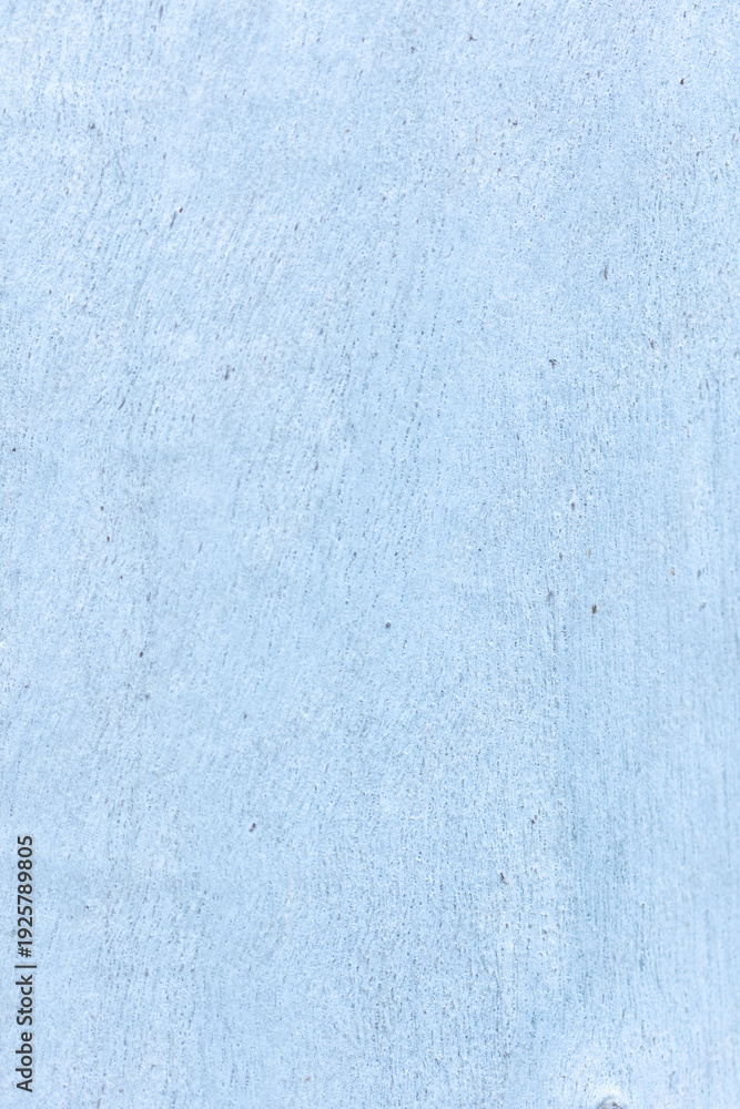 Fototapeta premium Eucalyptus Bark Texture Macro Background