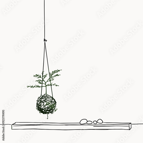 Hanging Kokedama Moss Ball With Fern