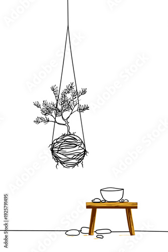 Hanging Kokedama Moss Ball With Fern