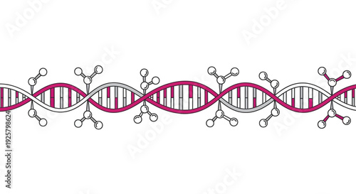 DNA double helix structure illustration