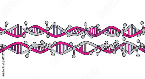 DNA double helix structure illustration