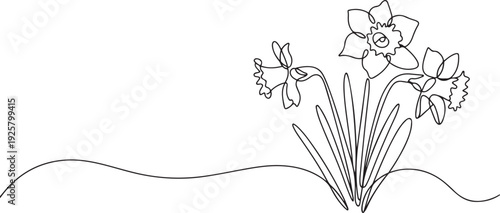 Continuous one line drawing of daffodil flowers. one line art icon drawing vector