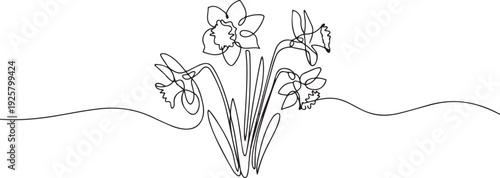 Continuous one line drawing of daffodil flowers. one line art icon drawing vector