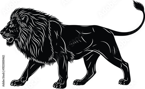 Detailed black and white lion silhouette walking with majestic mane isolated on white background, powerful king of the jungle vector illustration for heraldic emblem
