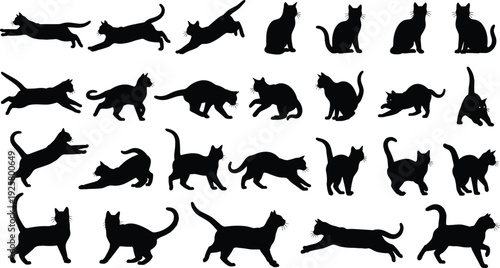 Large set of black cat silhouettes in various poses including running jumping stretching and sitting isolated on white background for feline pet animal graphic design