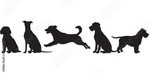 dog,pose,set silhouette flat design for pet behavior illustration vector graphic for veterinary guide