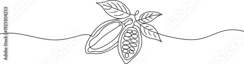 Cocoa beans with leaves and chocolate drawn in continuous line in minimalism style, in one line, one line art icon drawing vector