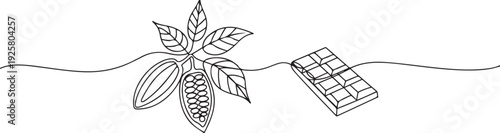 Cocoa beans with leaves and chocolate drawn in continuous line in minimalism style, in one line, one line art icon drawing vector