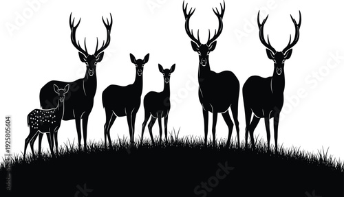 Deer family silhouette illustration, stag, doe, fawn, antlers, wildlife design, forest animals