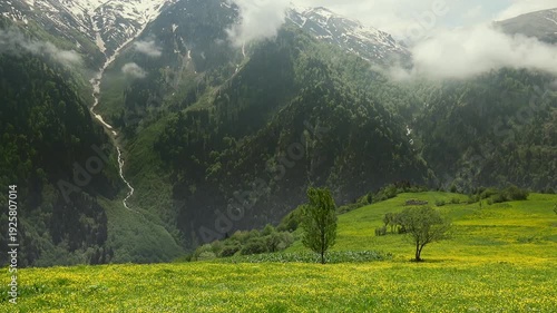 Alps mountain valley with spring meadow and drifting clouds in timelapse, snow peaks beyond. European highlands show lush pasture, mist banks, glacier ridges as fast moving weather rolls through.