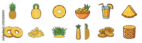 Pineapple fruit illustration set showing whole, sliced, chunked, and juiced forms of the tropical plant in a colorful cartoon style for food and beverage concepts