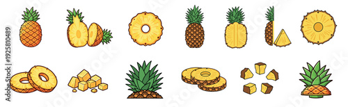 Collection of cartoon pineapple illustrations shows the tropical fruit whole, cut in half, sliced into rings, and diced into chunks in a colorful, outlined graphic style