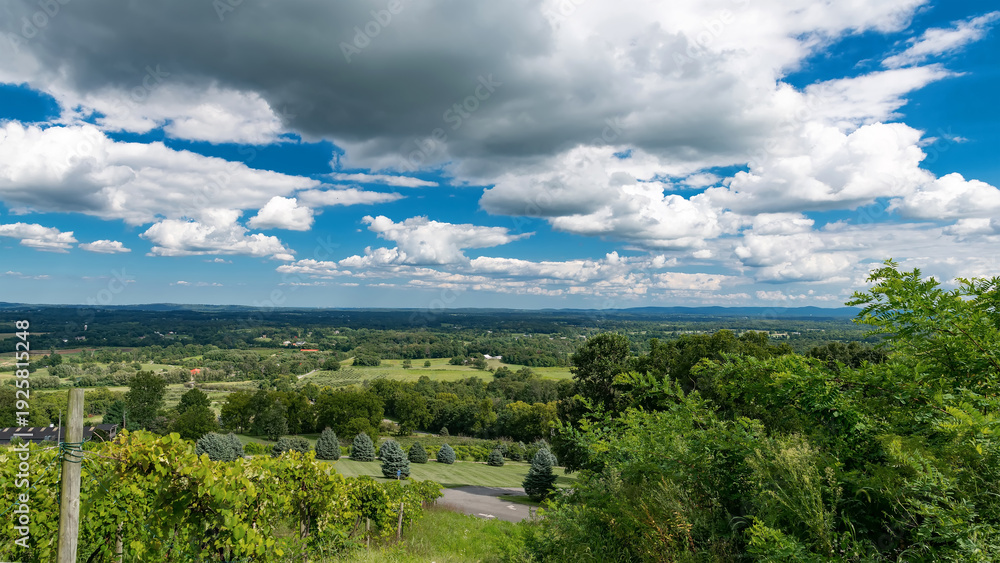 Fototapeta premium Virginia wine country landscape with green hills road and cloudy sky