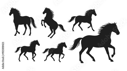 Silhouettes of majestic horses in various poses, showcasing their powerful and graceful movements