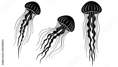 Three stylized black and white illustrations of jellyfish with long flowing tentacles against a white background