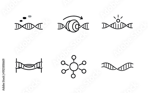 Cellular Rejuvenation Icons. Line style icons of cellular rejuvenation switches: epigenetic mark fade, histone-remodel curve,