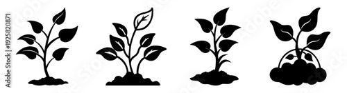Plant growth stages from seed to sprout vector illustration flat design scalable graphic icon set