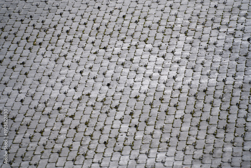 Gray roof with snow guards to prevent roof avalanches in Switzerland