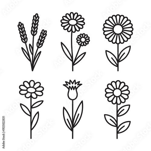 Outline flower icons collection for modern branding and decoration