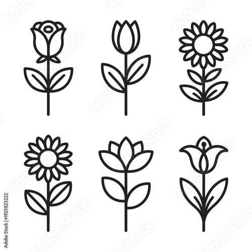 Botanical line art set with various flower species on long thin stems